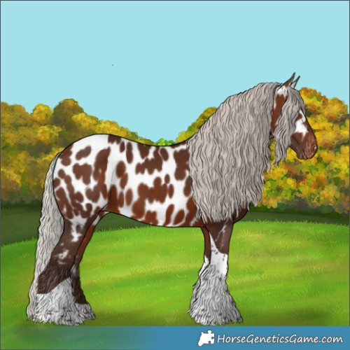 Horse Color:Silver Brown Tobiano Near Leopard