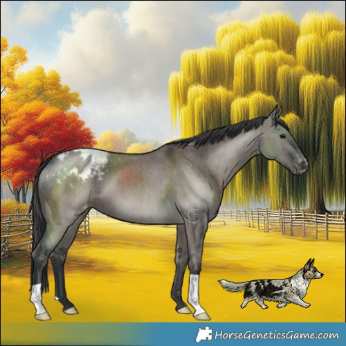 Horse Color:Grullo Varnish Brindle 