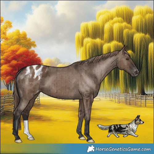 Horse Color:Liver Red Dun Varnish Brindle