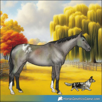 Horse Color:Grullo Varnish Brindle