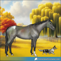 Horse Color:Grullo Varnish Brindle 