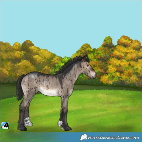 Horse Color:Brown Dun Rabicano Brindle 