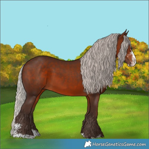 Horse Color:Silver Brown Sabino Splash