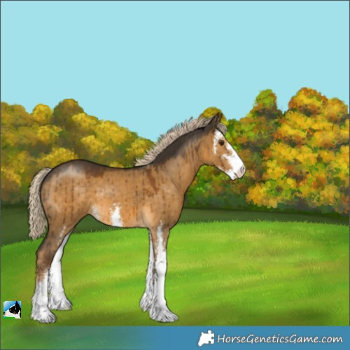 Horse Color:Chocolate Palomino Dun Sabino Brindle 