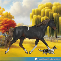 Horse Color:White Spotted Liver Chestnut Tobiano Rabicano 