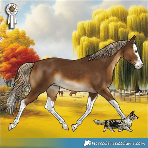 Horse Color:Chocolate Palomino Splash 