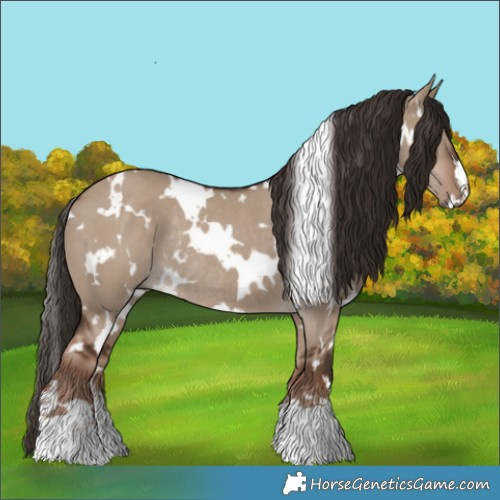 Horse Color:White Spotted Liver Red Dun Rabicano