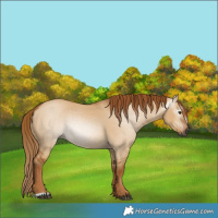 Horse Color:Gray Red Dun 