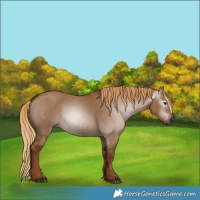 Horse Color:Gray Red Dun