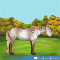 Horse Color:Gray Red Dun