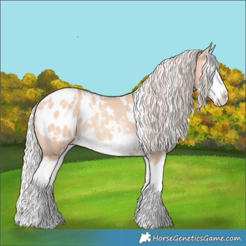 Horse Color:White Spotted Silver Amber Champagne Dun Splash Appaloosa Rabicano
