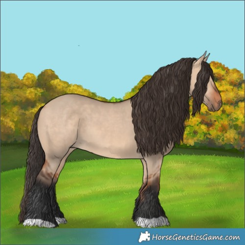 Horse Color:Bay Dun 