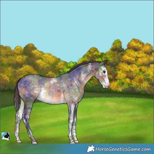 Horse Color:Nacre Buckskin Sabino