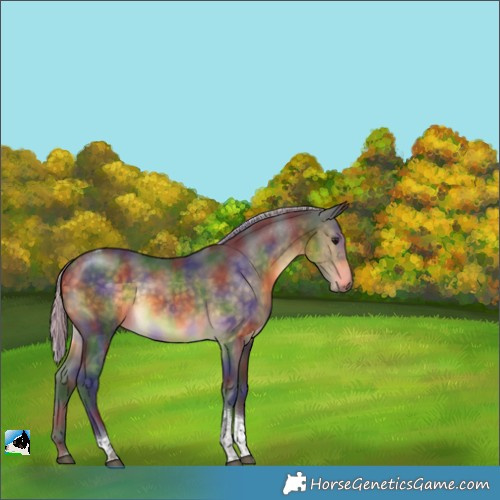 Horse Color:Nacre Silver Buckskin Tobiano 