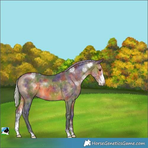Horse Color:Nacre Silver Buckskin Sabino 