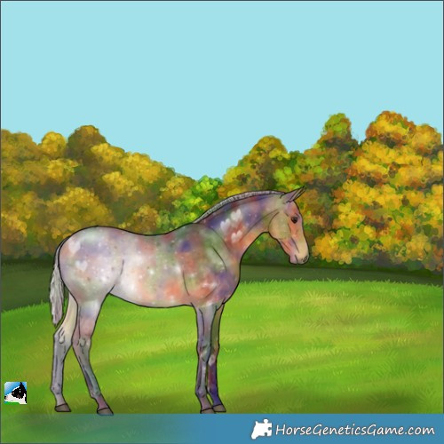 Horse Color:Nacre Silver Buckskin