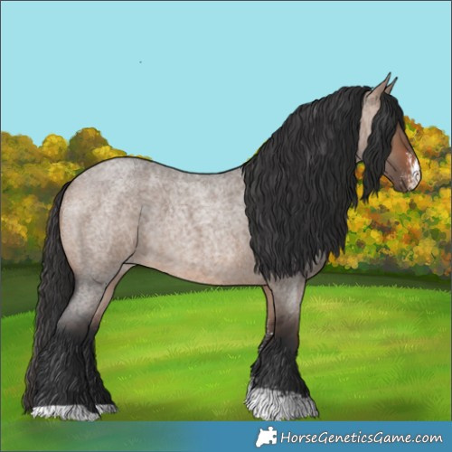 Horse Color:Brown Roan Dun Sabino
