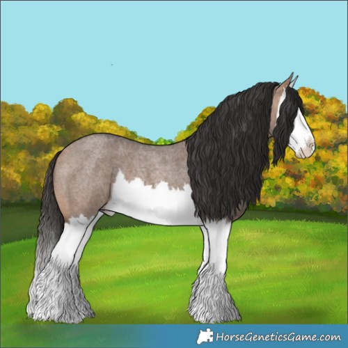 Horse Color:Bay Roan Dun Splash 