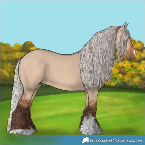 Horse Color:Silver Brown Dun Sabino 