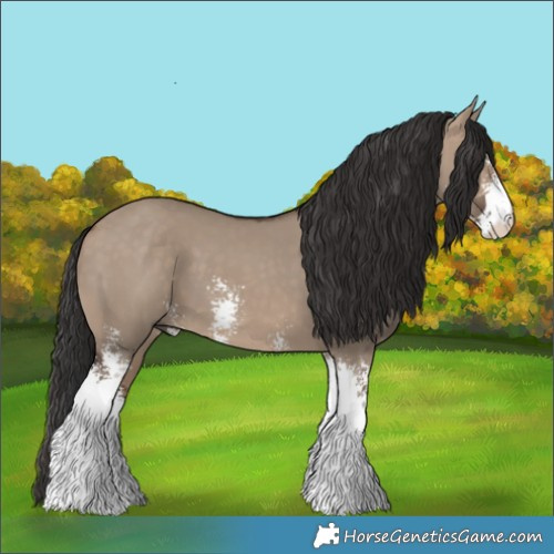 Horse Color:Brown Dun Sabino 