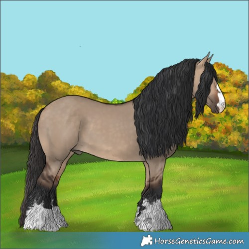 Horse Color:Bay Dun 