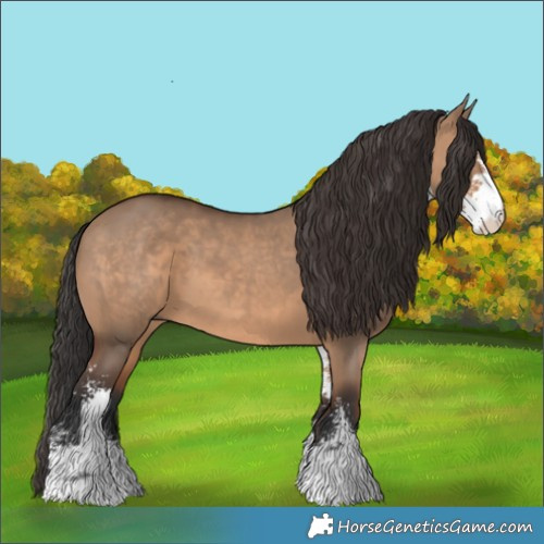 Horse Color:Brown Dun Sabino
