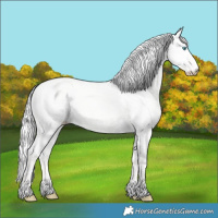 Horse Color:Silver Perlino Dun 