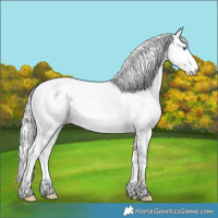 Horse Color:Cremello Dun