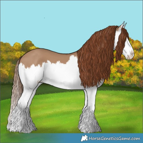 Horse Color:Red Dun Splash 
