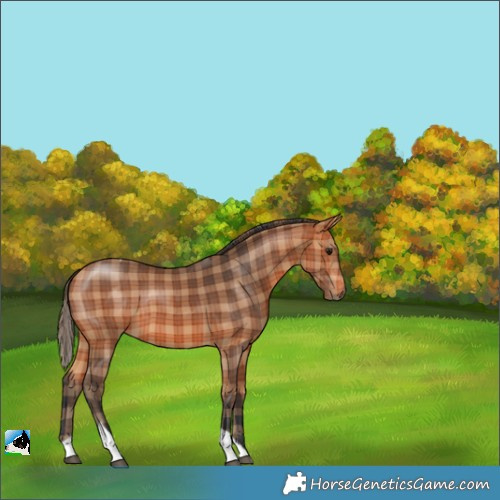 Horse Color:Plaid  Bay Tobiano 