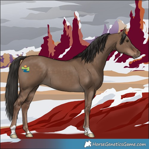 Horse Color:Liver Red Dun
