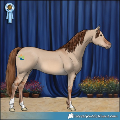 Horse Color:Red Dun 