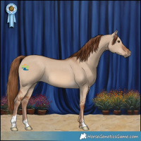 Horse Color:Red Dun