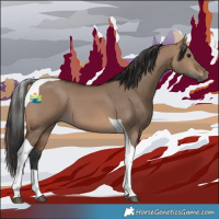 Horse Color:Brown Dun Tobiano 