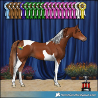 Horse Color:Chestnut Tobiano 