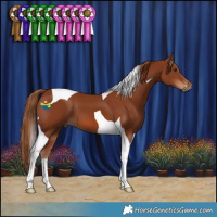 Horse Color:Chestnut Tobiano 