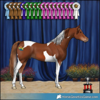 Horse Color:Chestnut Tobiano 