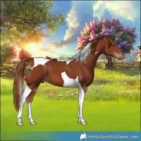 Horse Color:Chestnut Tobiano 