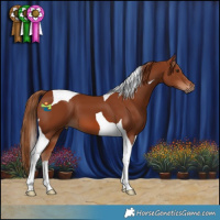 Horse Color:Chestnut Tobiano 