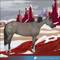 Horse Color:Grullo Tobiano 