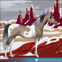 Horse Color:Brown Dun Tobiano 