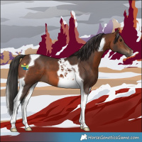 Horse Color:Brown Tobiano 