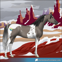 Horse Color:Grullo Tobiano 