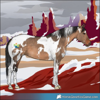 Horse Color:White Spotted Brown Dun Tobiano 