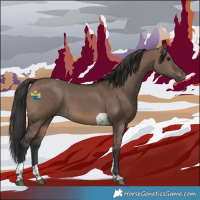 Horse Color:Brown Dun Tobiano