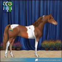 Horse Color:Chestnut Tobiano 