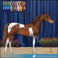 Horse Color:Chestnut Tobiano 
