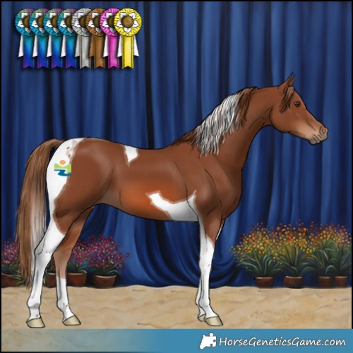 Horse Color:Chestnut Tobiano 