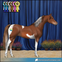 Horse Color:Chestnut Tobiano 