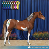 Horse Color:Chestnut Tobiano 